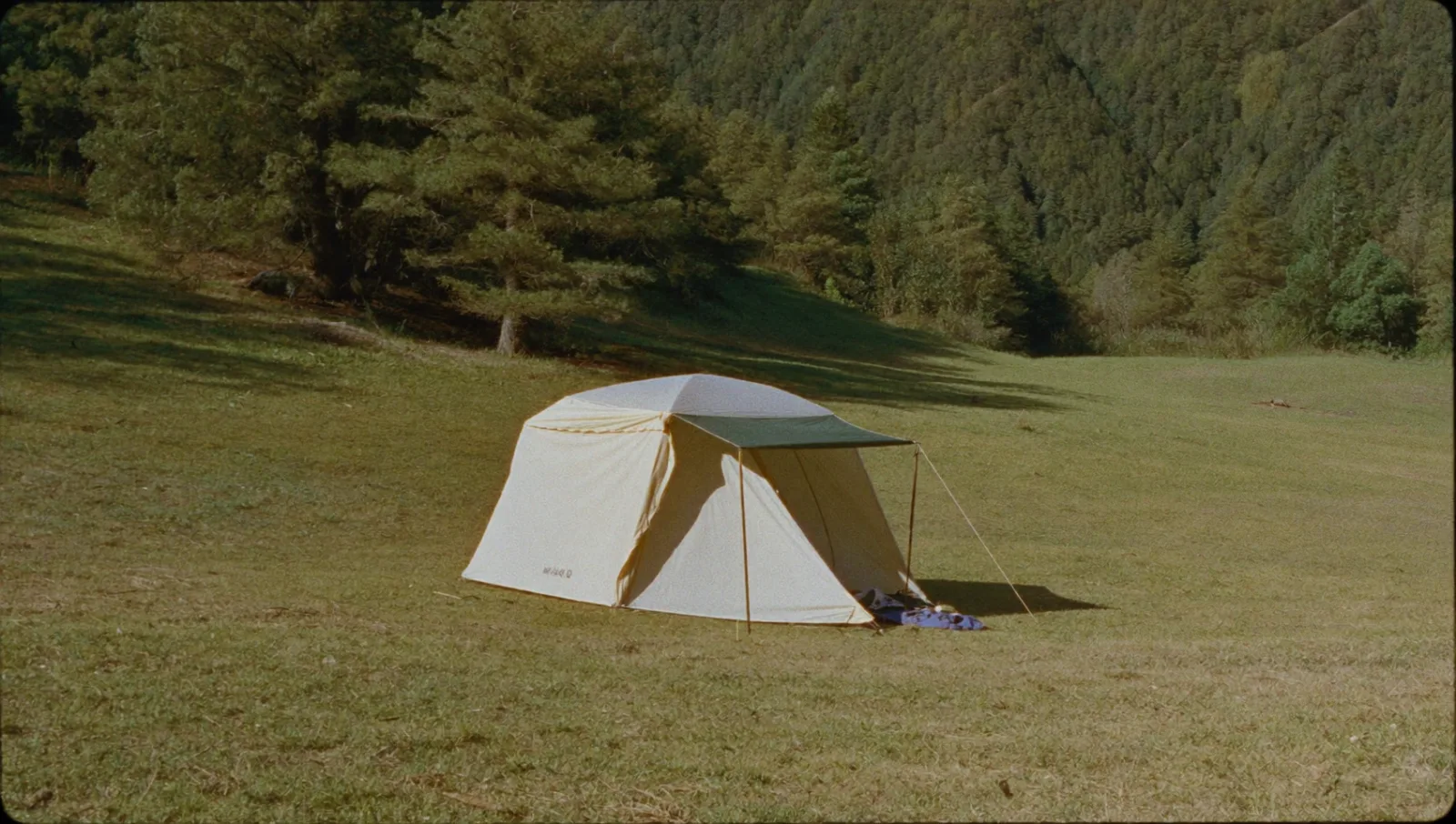 A Beginner's First Camping Trip in Japan: A Practical Walkthrough